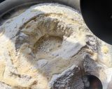 A picture of step 1 of Coconut Karanji.