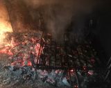 Foto del paso 2 de la receta: Chuletitas de cordero marinadas, a la brasa, con all i oli