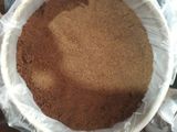 Galleta helada