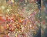 A picture of step 2 of Beef pepper soup.