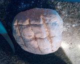 Foto del paso 5 de la receta: Pan casero