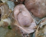 Foto langkah ke 1 dari resep Paklay ati ampela.