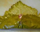 Foto del paso 10 de la receta: HOJITAS De Parra,(Dolma) rellenas de Pechuga molida de Pollo...!