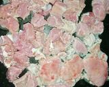 Foto langkah ke 2 dari resep Mie Nyemek Creamy Full Daging.