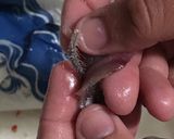 Foto del paso 3 de la receta Boquerones en vinagre