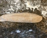 Foto del paso 7 de la receta: Pan integral con centeno (leudado lento)