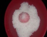 A picture of step 7 of Coconut Balls.