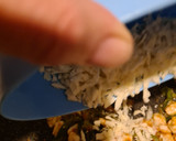 Foto del paso 5 de la receta: Tacos gobernador