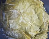 Foto del paso 1 de la receta: Favoritas de much@s: Warak Dawali / Hojitas de Parra rellenas