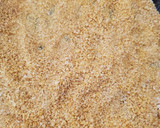 Foto del paso 2 de la receta: Tortas de milanesa