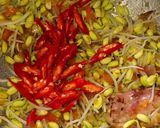 Foto langkah ke 2 dari resep 199. Oseng Kangkung ala Emak.