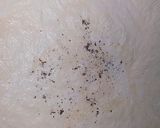 A picture of step 2 of Kheer.