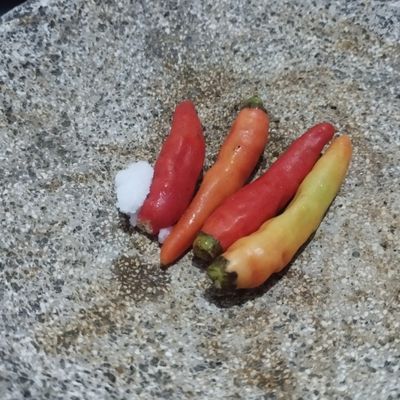 Langkah 5