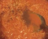 Foto del paso 9 de la receta: Tinga de pollo
