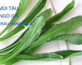 Hình bước làm 2 của món Canh Khoai Mỡ