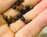 Hình bước làm 3 của món Masala chai tea - Trà Masala chai Ấn Độ