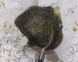 Foto del paso 1 de la receta: Pancitos saborizados especial para acompañar un rico mate 🧉