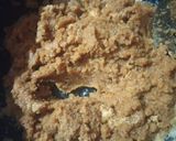 A picture of step 3 of Mohan thal.