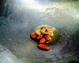 A picture of step 2 of Panjiri Ladoo.