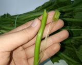 Hình bước làm 2 của món Đọt Bí Xào Tôm