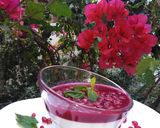 Une image de l'étape 9 de Recette italienne panna cotta à la grenade.