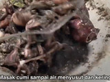 Cumi hitam gurih
