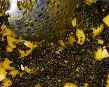 A picture of step 7 of Aloo Palak.