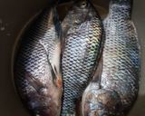 Foto langkah ke 1 dari resep Pepes Ikan Mujair.