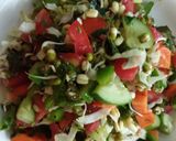 ફણગાવેલા મગ અને વેજીટેબલ સલાડ (Fangavela Moong Vegetable Salad Recipe In Gujarati) રેસીપી સ્ટેપ5ફોટો