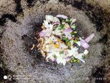 লাল শাক ভাজা (Lal sak vaja receipe in Bengali)