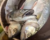 Une image de l'étape 4 de Bouillabaisse 🦀 marseillaise 🐬🦞🦐 traditionnelle 🐡 facile 🐋.