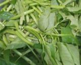 Foto langkah ke 1 dari resep Rujak Kangkung.