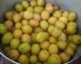 Foto del paso 1 de la receta: Mermelada de ciruelas