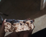 Foto del paso 7 de la receta: Brownies clásicos con oreo