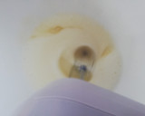 Foto del paso 2 de la receta: Tiramisú