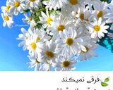 عکس مرحله 13 از دستور کیک وانیلی (با پف فوق العاده)