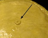 Foto del paso 5 de la receta: Empanada