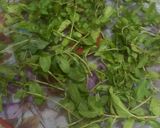 A picture of step 6 of Dry Mint.