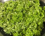 A picture of step 8 of Broccoli Paneer Kabab.