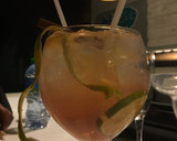 Foto del paso 2 de la receta: Gintonic, ginebra con tónica súper digestivo 🍹