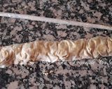 Foto del paso 3 de la receta: Baklava con sirope de naranja y canela