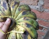 Foto langkah ke 4 dari resep Pisang Gapit Teflon.