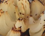 A picture of step 5 of My Whole Roasted Onion with Chinese Salt n Pepper Seasoning. 😘.