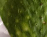 Foto del paso 2 de la receta: Torta de nopal