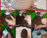 Darázsfészek recept fázis 4 fotója