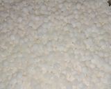 A picture of step 1 of Sabudana vada.