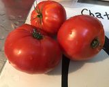 Une image de l'étape 1 de Tomates cœur de bœuf farcies fromage frais de brebis,pistaches et épices.