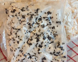 Foto langkah ke 10 dari resep Tempe homemade.
