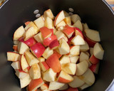 A picture of step 1 of Apple Butter.