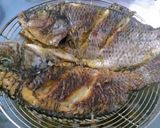 Foto langkah ke 3 dari resep Ikan mujaer bakar teflon pedas manis.